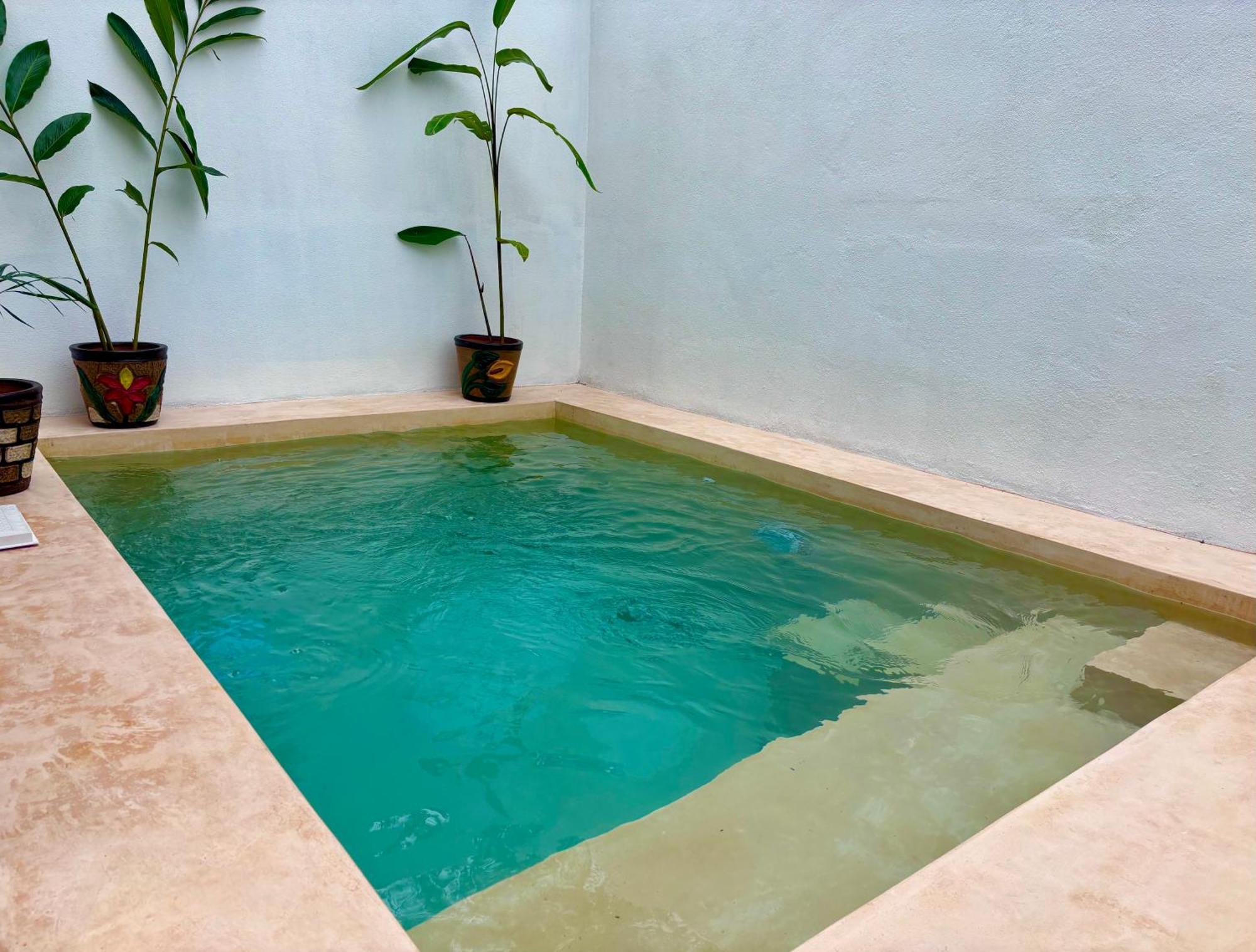 Excelente Alberca Privada En Residencial Privado, Gym, Asador Villa Сиудад Валес Екстериор снимка