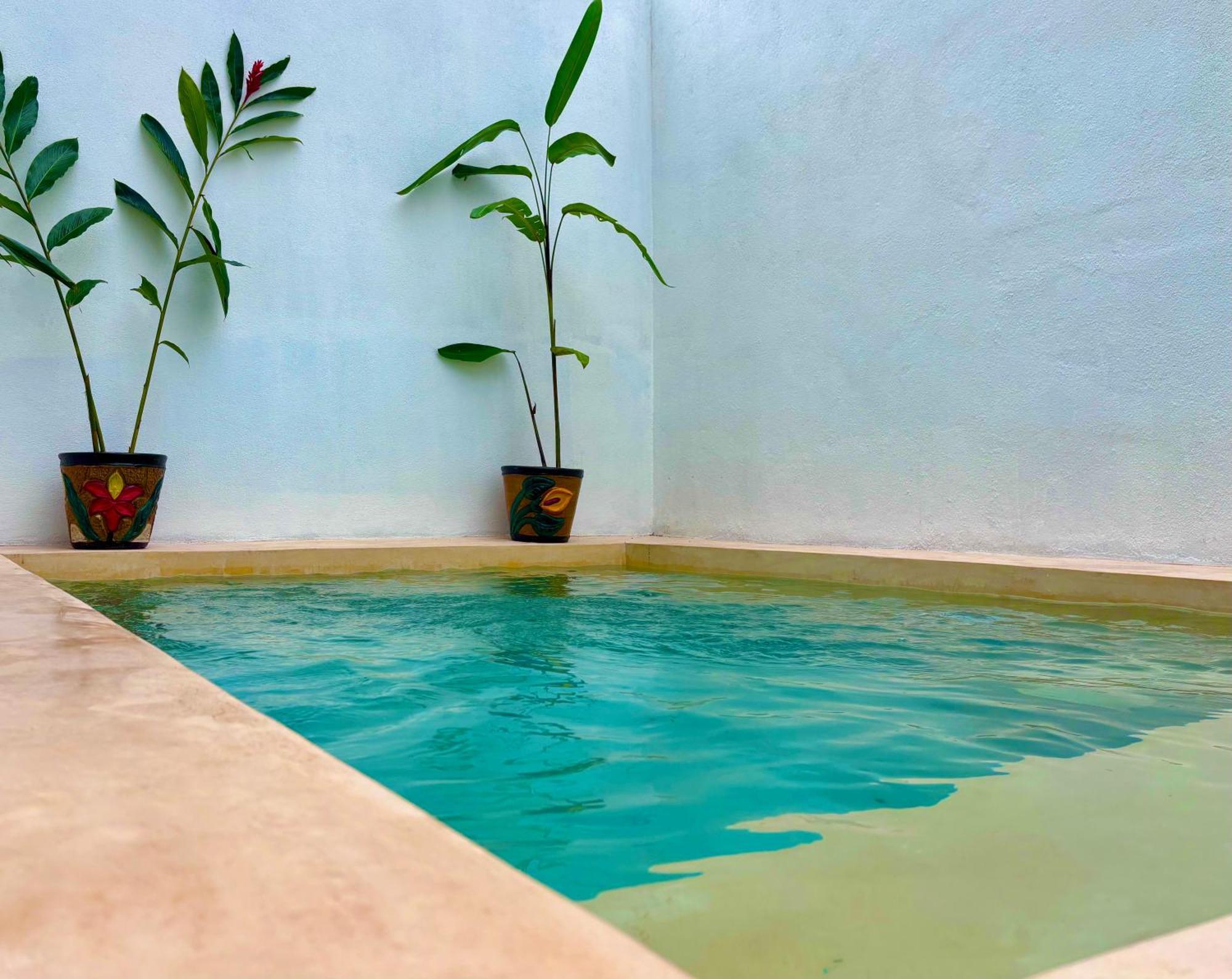Excelente Alberca Privada En Residencial Privado, Gym, Asador Villa Сиудад Валес Екстериор снимка
